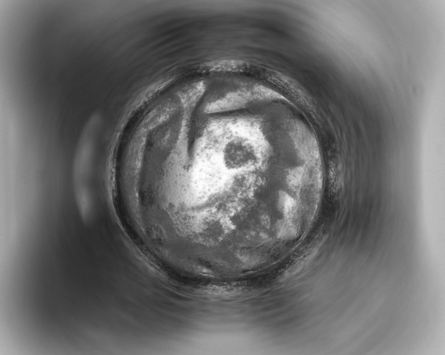 X0000096960725200802221341