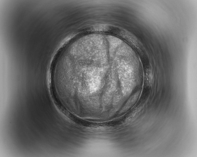 X0000096960726200802221341