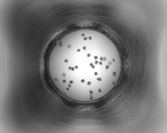 X0000096960727200802221341