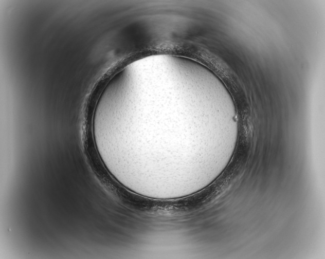 X0000096960728200802221341