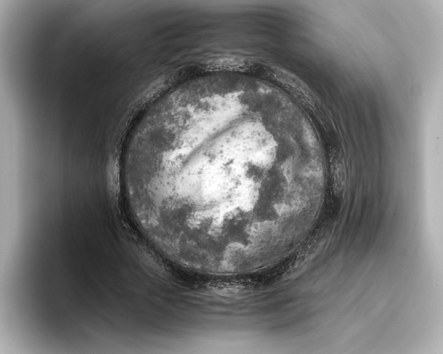 X0000096960729200802221341