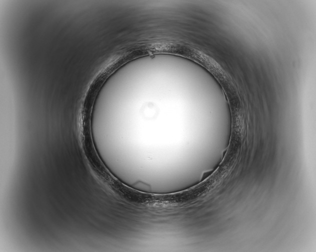 X0000096960730200802221341