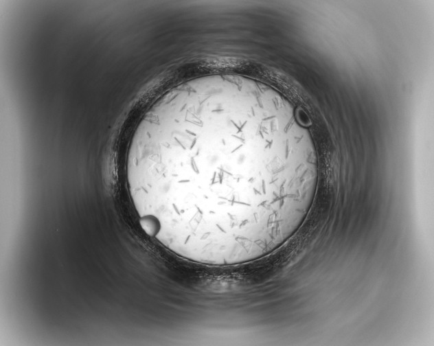 X0000096960731200802221342