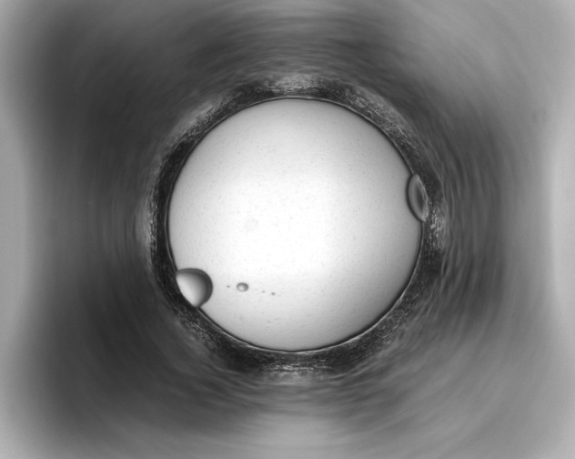 X0000096960732200802221342