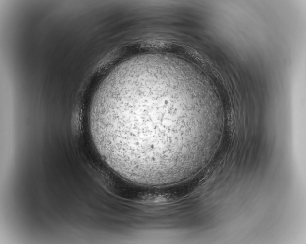 X0000096960735200802221342