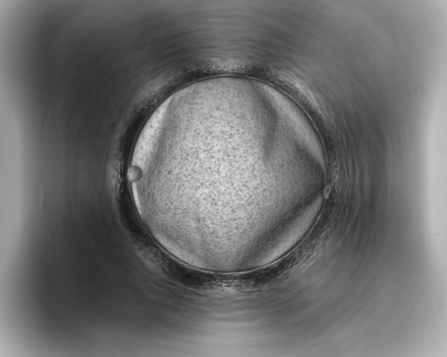 X0000096960736200802221342