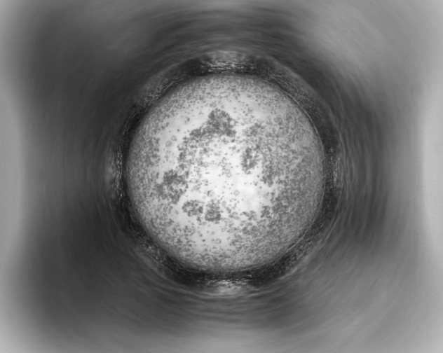 X0000096960737200802221342