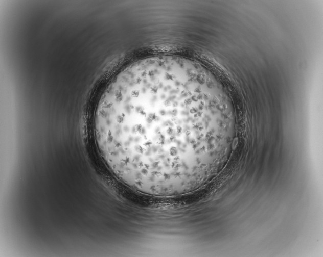 X0000096960738200802221342