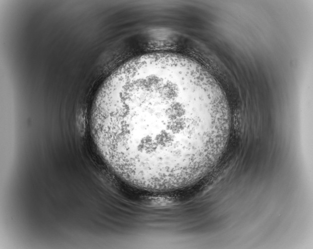 X0000096960741200802221342