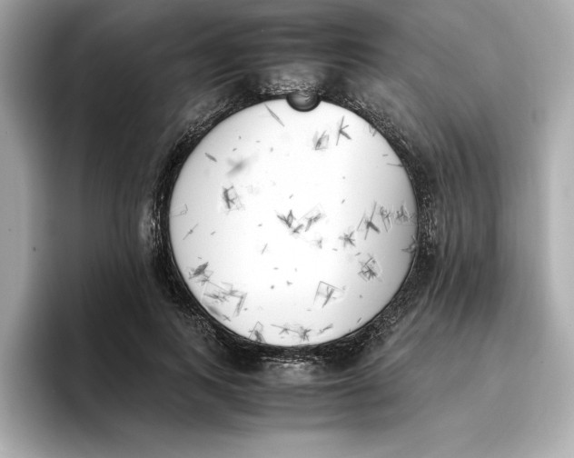 X0000096960743200802221342