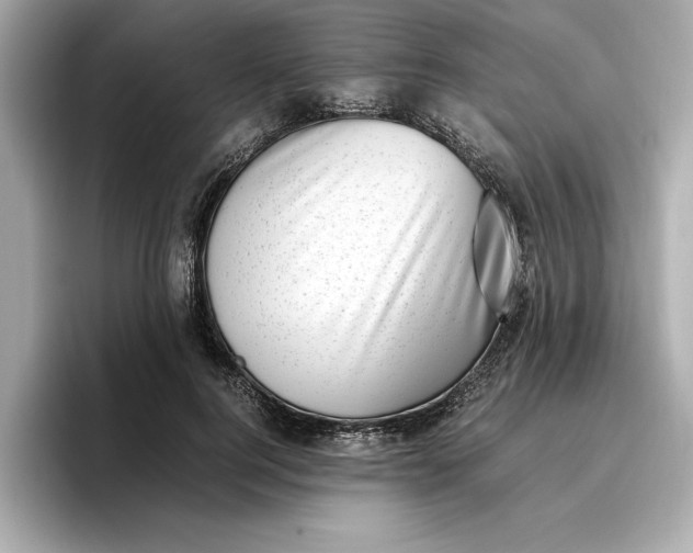 X0000096960744200802221342