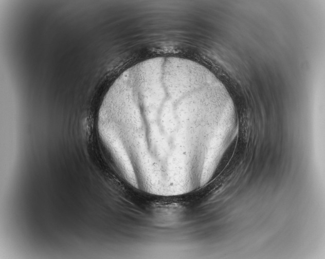 X0000096960747200802221342