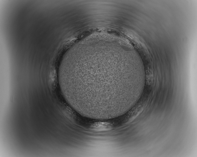 X0000096960748200802221342