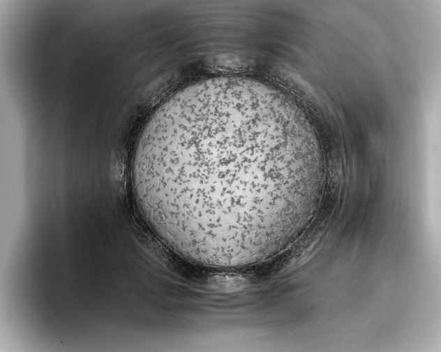 X0000096960749200802221342