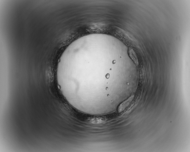 X0000096960751200802221342