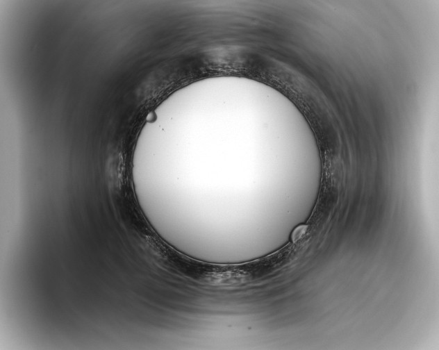 X0000096960752200802221342