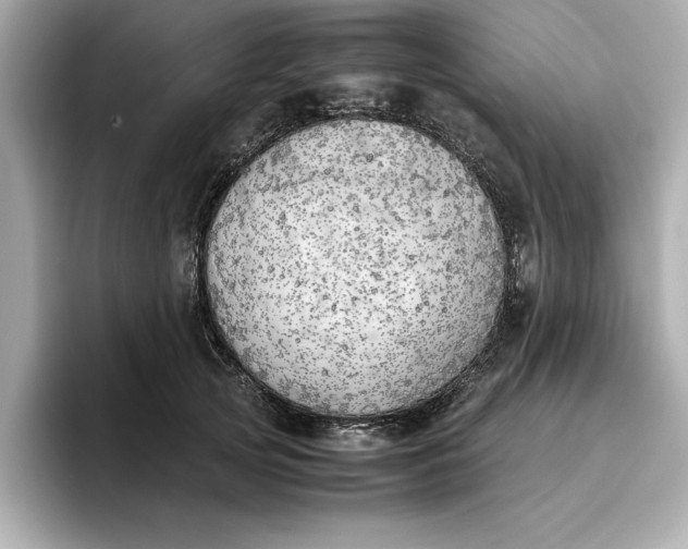 X0000096960753200802221342