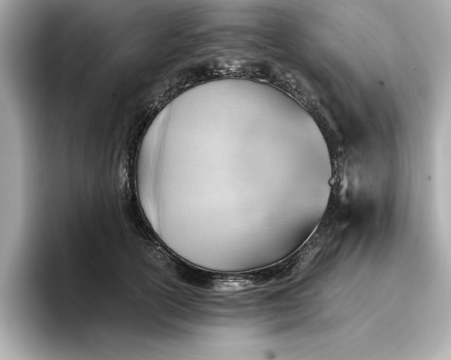 X0000096960754200802221342