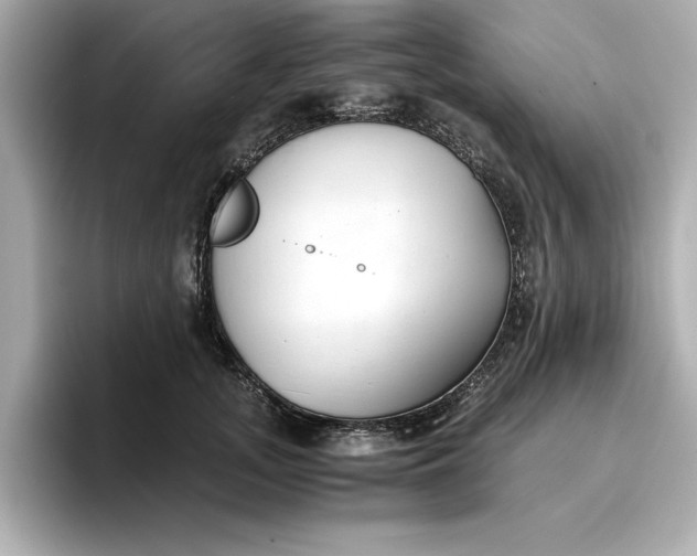 X0000096960755200802221342