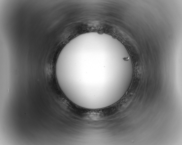 X0000096960756200802221342