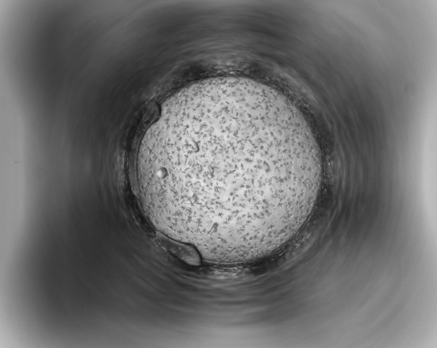 X0000096960757200802221342