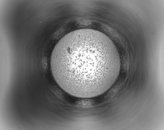 X0000096960758200802221342