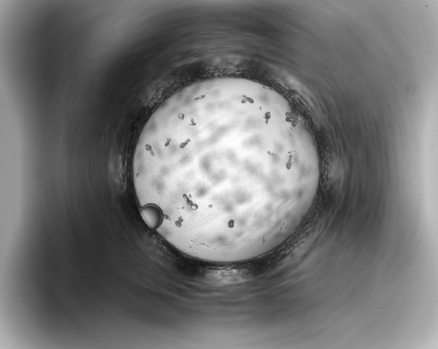 X0000096960759200802221342