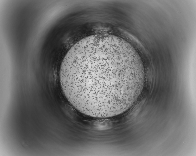 X0000096960761200802221342