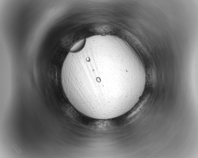 X0000096960762200802221342