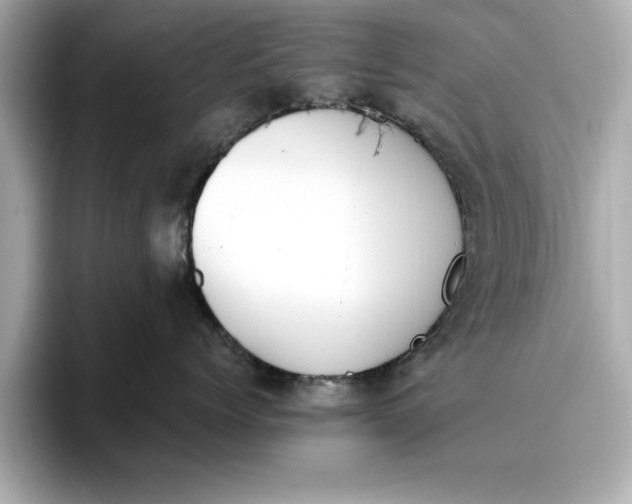 X0000096960768200802221342