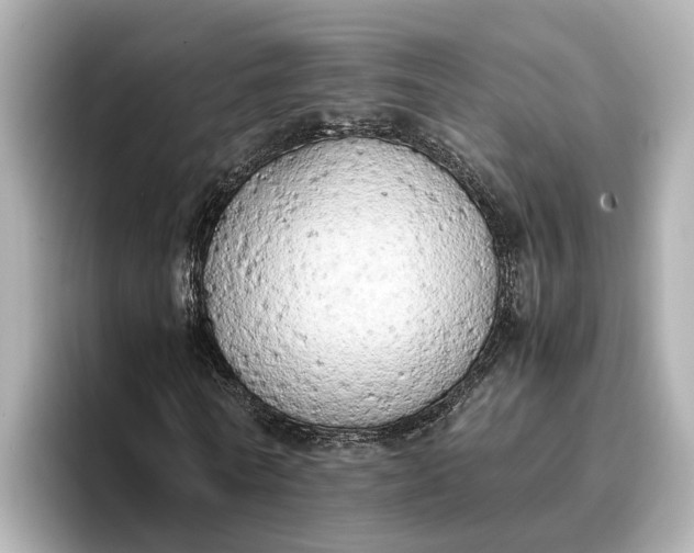 X0000096960770200802221341