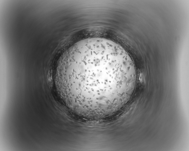 X0000096960771200802221341