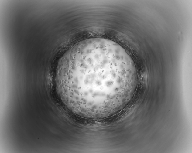 X0000096960772200802221341