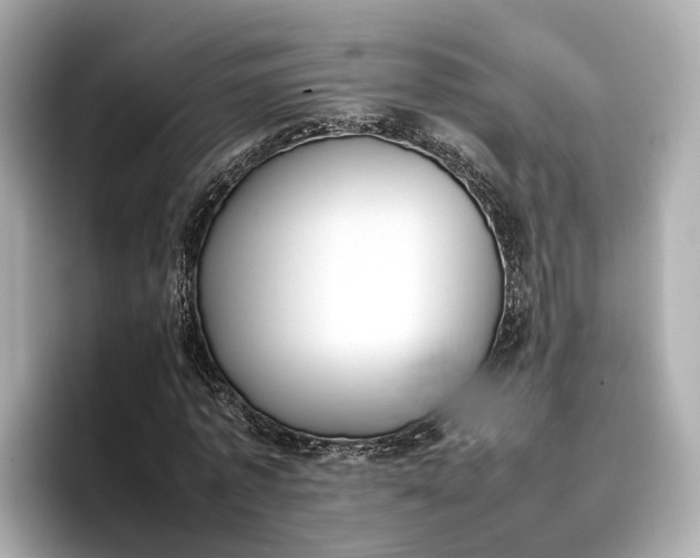 X0000096960773200802221341