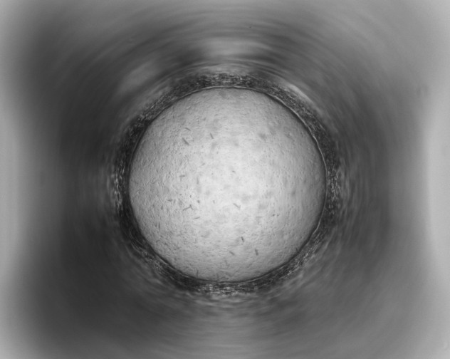 X0000096960774200802221341