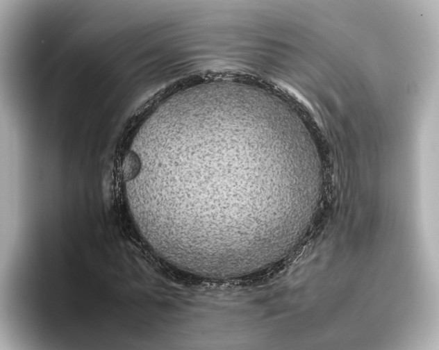 X0000096960775200802221341