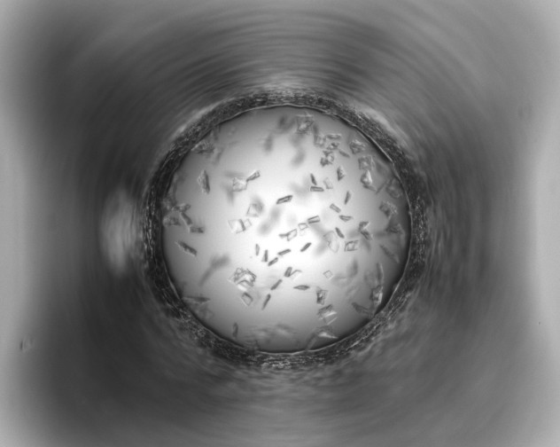 X0000096960776200802221341