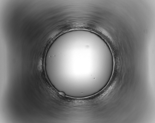 X0000096960777200802221341