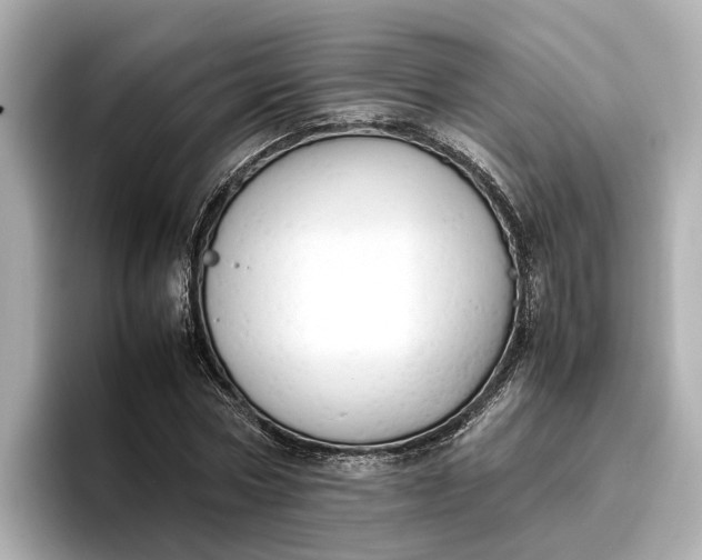 X0000096960778200802221341