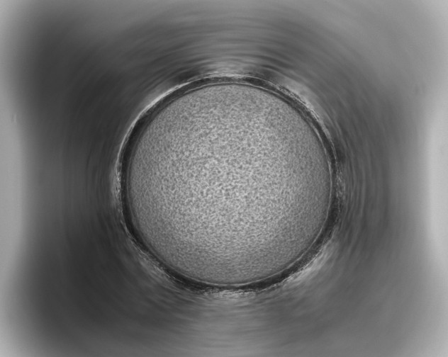 X0000096960779200802221341