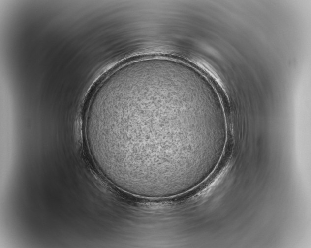 X0000096960781200802221341