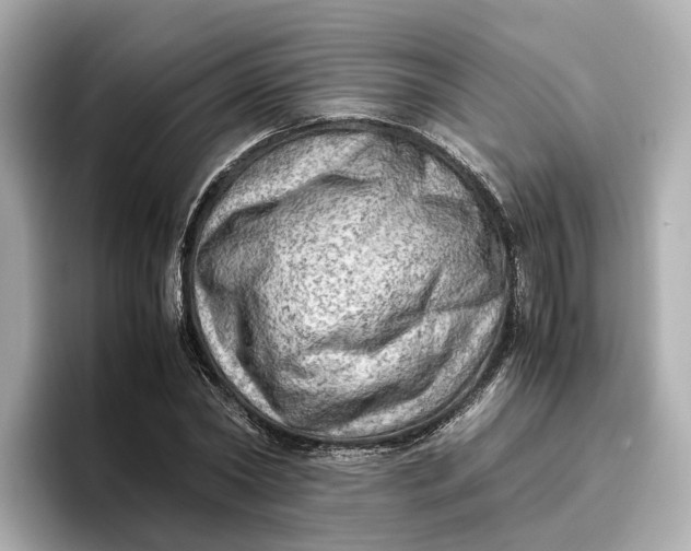 X0000096960782200802221341