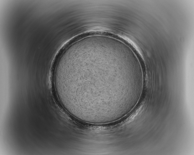 X0000096960783200802221341