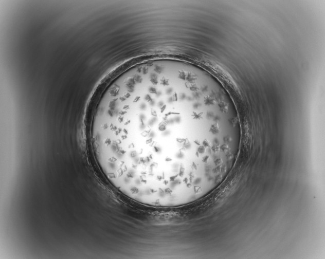 X0000096960784200802221341