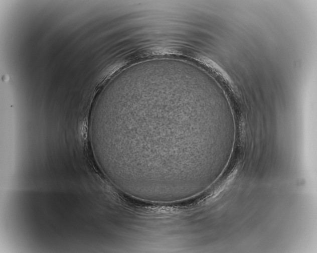 X0000096960785200802221341