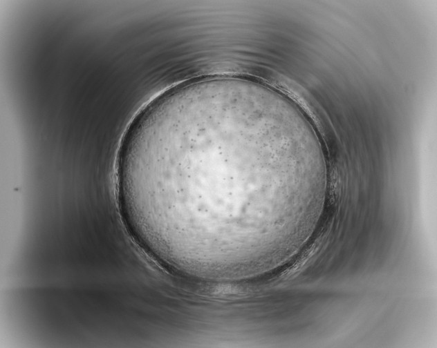 X0000096960787200802221341