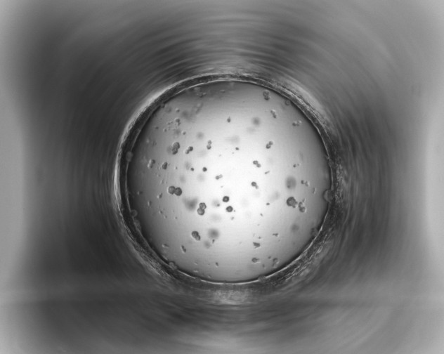 X0000096960788200802221341