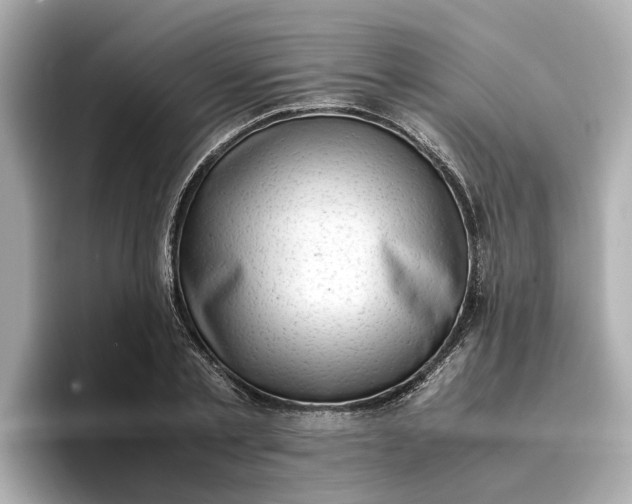 X0000096960789200802221341