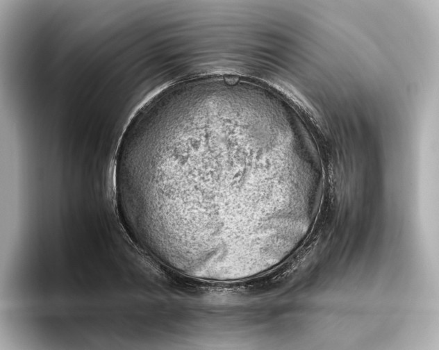 X0000096960790200802221341