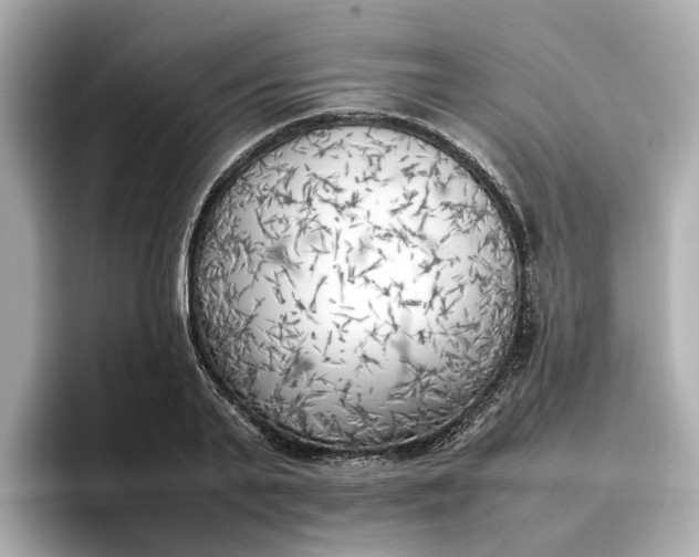 X0000096960791200802221341